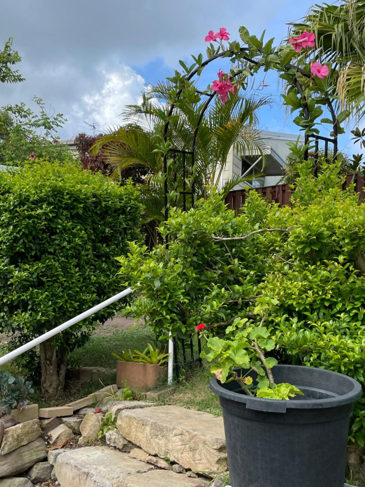 Theme Parks Amituofo Homestay Gold Coast Exterior foto